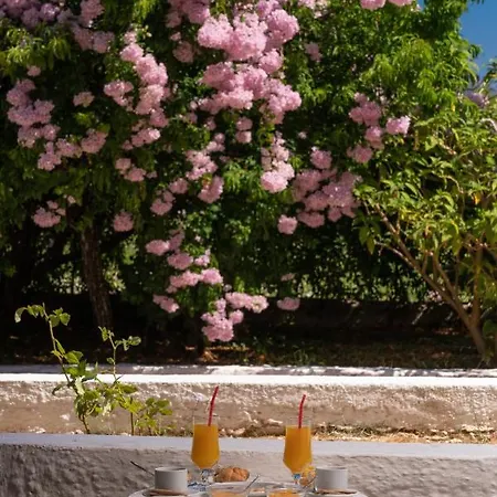 Pericles Hotel Kefalonia Island