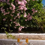 Pericles Hotel Kefalonia Island